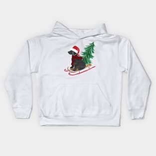 Labradoodle Christmas Sled Bringing Home The Tree Kids Hoodie